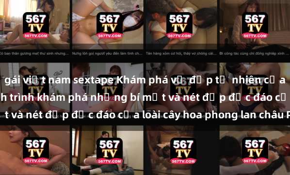 gái việt nam sextape Khám phá vẻ đẹp tự nhiên của sex châu Phi: Cuộc hành trình khám phá những bí mật và nét đẹp độc đáo của loài cây hoa phong lan châu Phi.