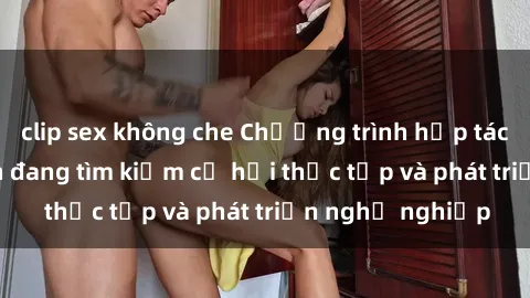 clip sex không che Chương trình hợp tác JAV cho sinh viên đang tìm kiếm cơ hội thực tập và phát triển nghề nghiệp